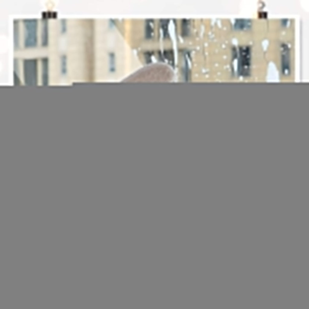 2-in-1 Mesh Cleaning Brush & Wiper with Extended Handle – Window Cleaner (1 Pc)