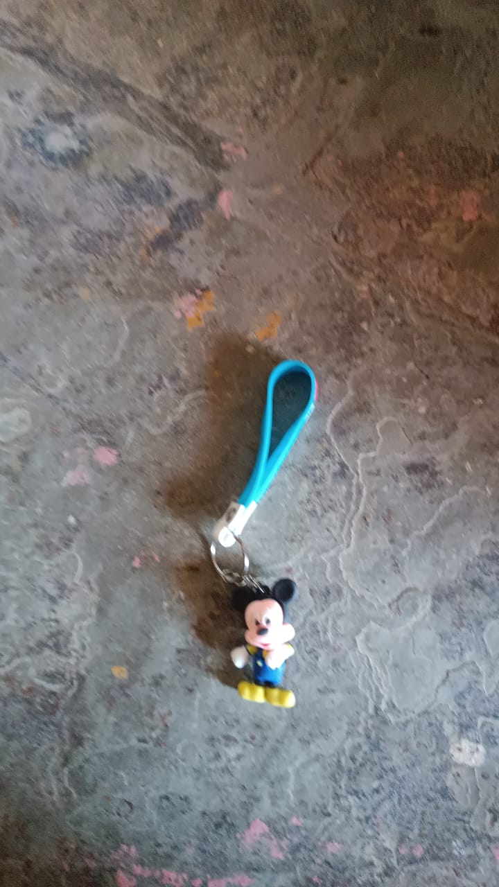 Cute Cartoon Silicone 3D Key Chain with Metal Hook & Strap (Pack of 1)