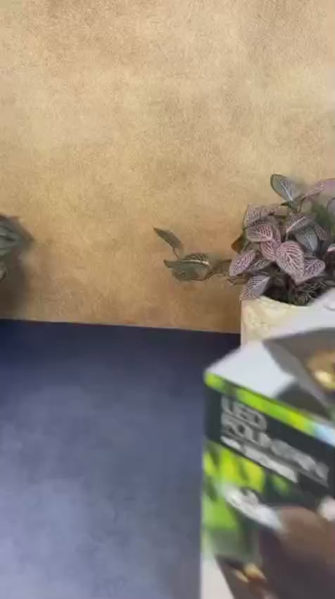 Desk Fountain